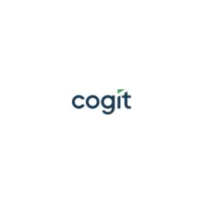 Narzędzia analizy danych - Wdrożenia business intelligence - Cogit